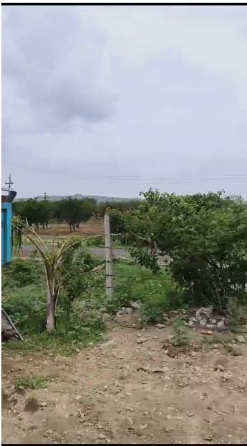 11 acers agriculture land for sale at mahola ,katol district nagpur