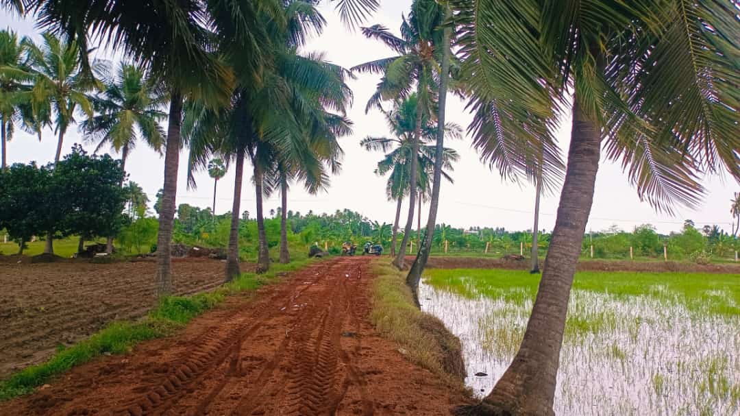 1.5 Acre Agricultural Land for sale Near Narakur centre ,Nellore .