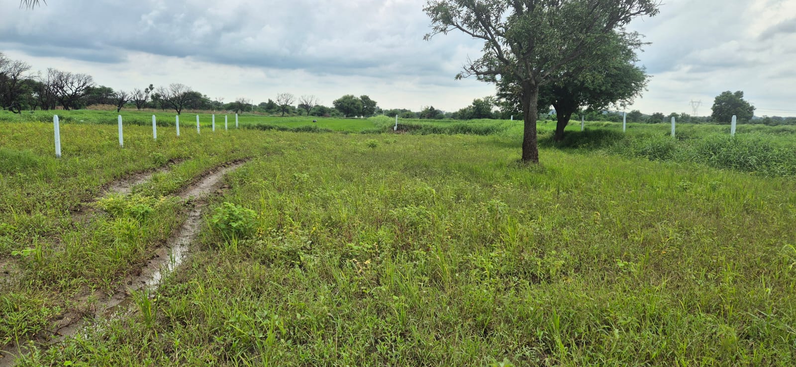 11 Guntas Land for Sale in Posanpally Village, Komuravelly Mandal, Siddipet District
