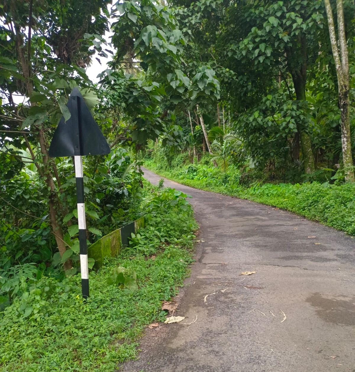 Agricultural Land for Sale in Kalpatta, Kumbalakkad
