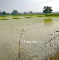3 Acres Agricultural Land For Sale At Erravalli Near KCR Farmhouse