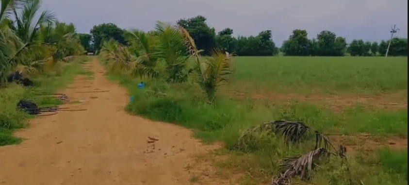 5 Acres Farm Land For Sale Near Gajwel 