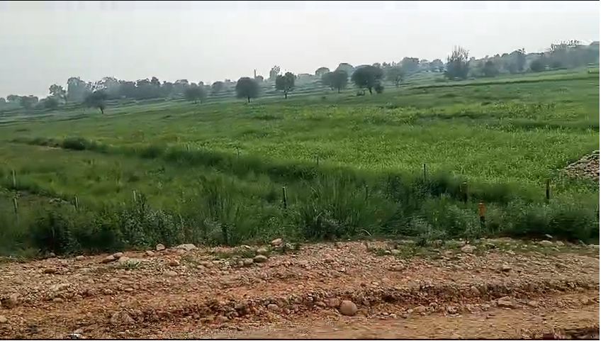 225 Kanal Land For Sale Ring Road Front, Near Zimindar Dhaba Jammu and Kashmir