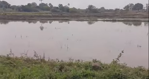 4 Acres Land For Sale At Jagadevpur Siddipet
