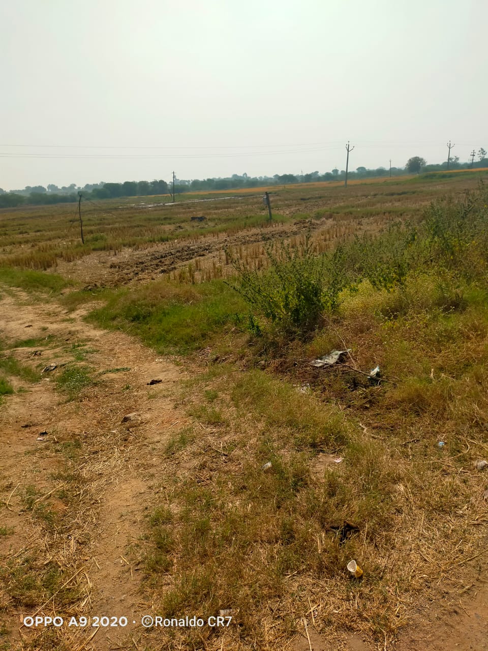 2 Acres land for sale in Bichkunda Kamareddy