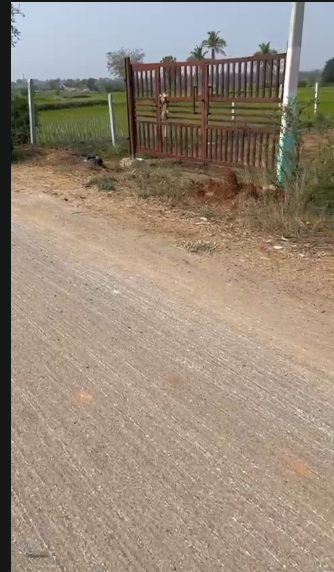 4 Acres Land For Sale In Nanded Sangareddy