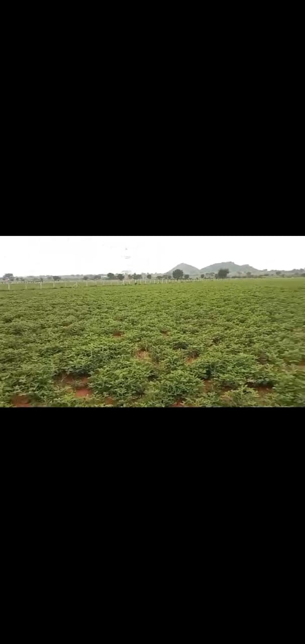 7 acres Agriculture land for sale on Srisailam NH to Hyderabad road 
