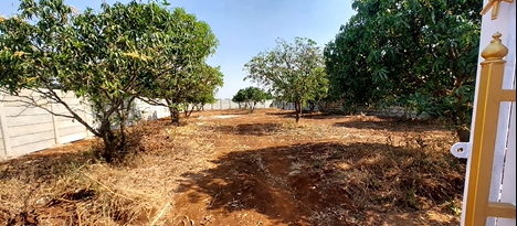 Farm Plots For Sale At Manneguda