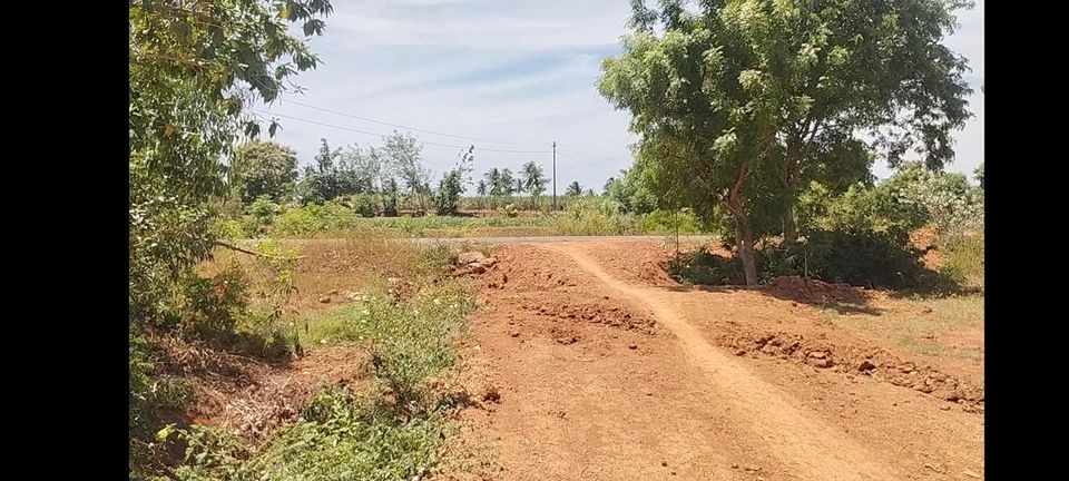 Agricultural Land for Sale in Thanjavur