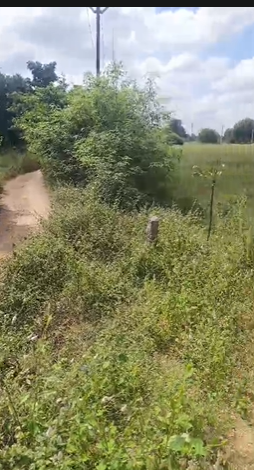 Agricultural Land For Sale In Nagunoor Siddipet
