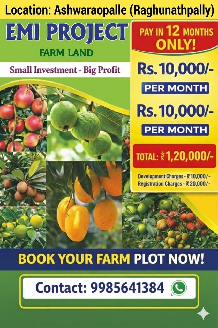 Farm Land For Sale At Raghunathpally Jangaon