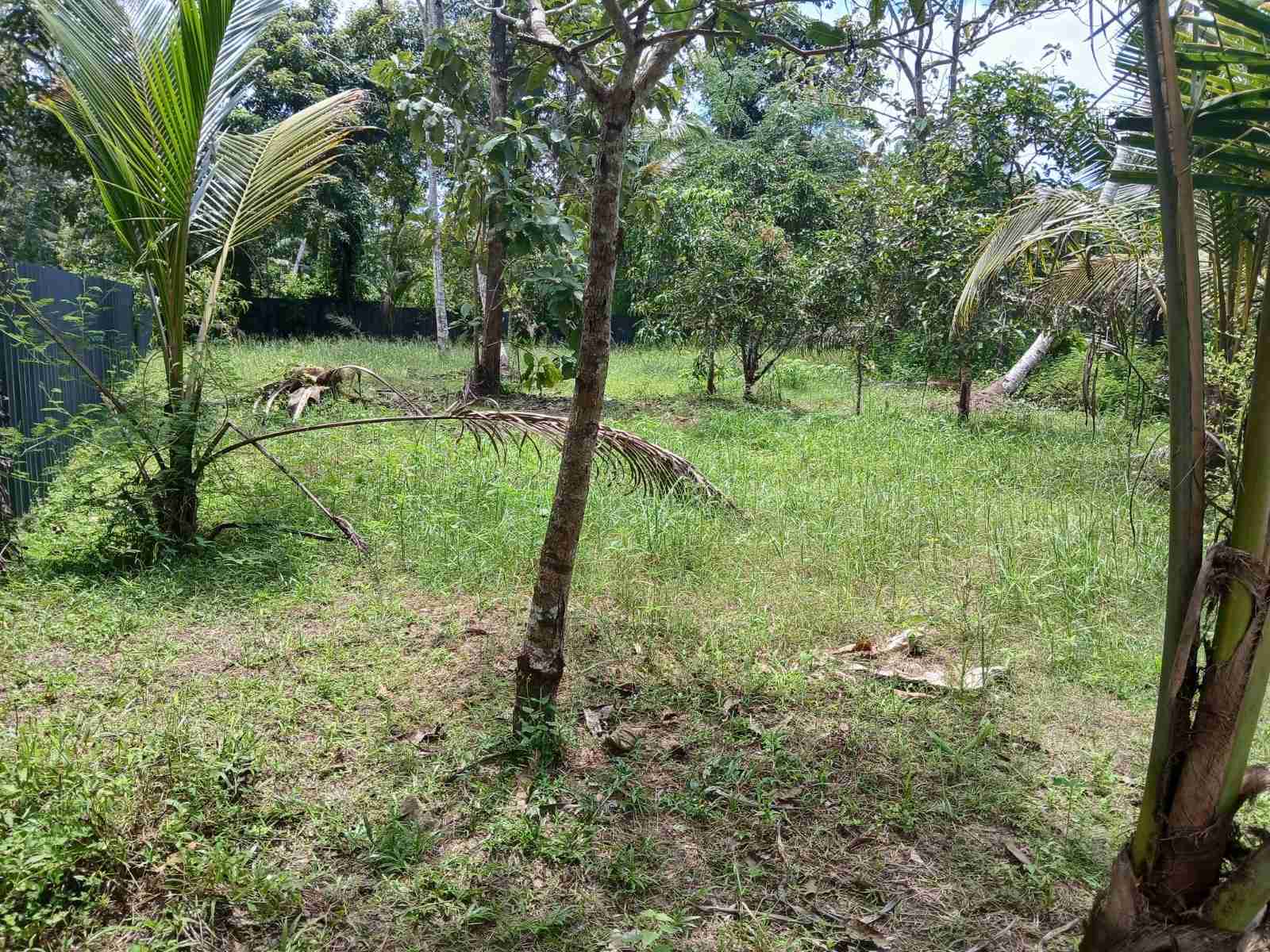23 Cents Property for Sale in  Cherthala Ottapunna NH 66 junction