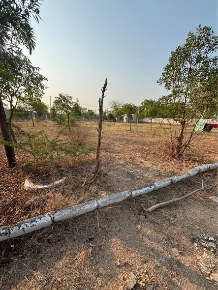 Open Plot For Sale At Surangal Moinabad