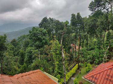 Farm Resort For Sale in Munnar, Kerala