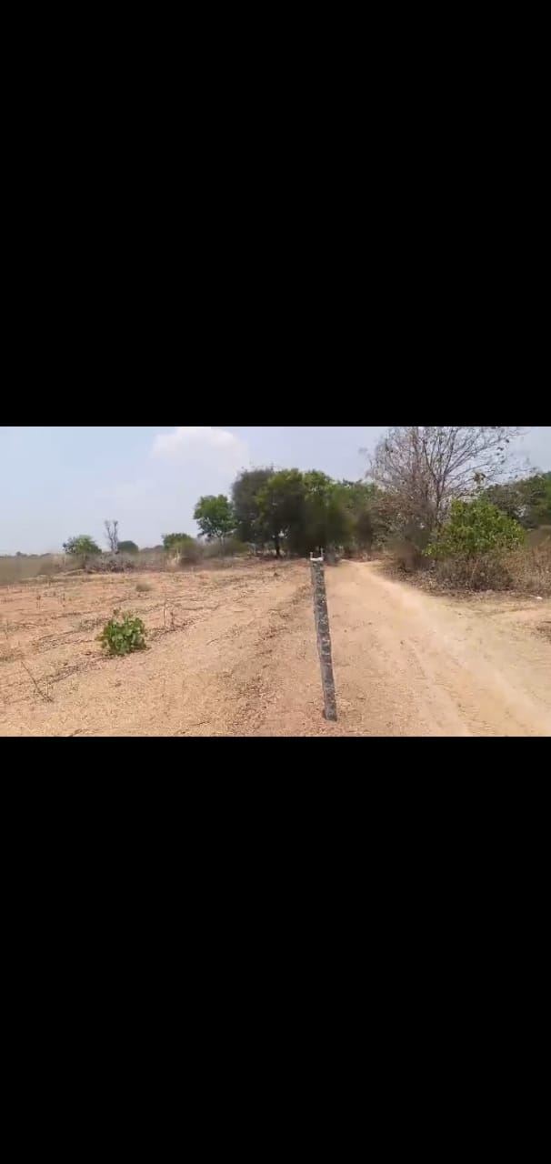 19 Guntas land for sale at Nagunoor