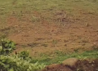 2 Acres Land For Sale In Cherukumpalem Guntur
