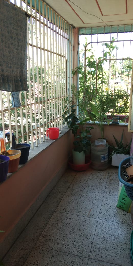 900 Sft 2BHK FLAT FOR Resale at Siliguri