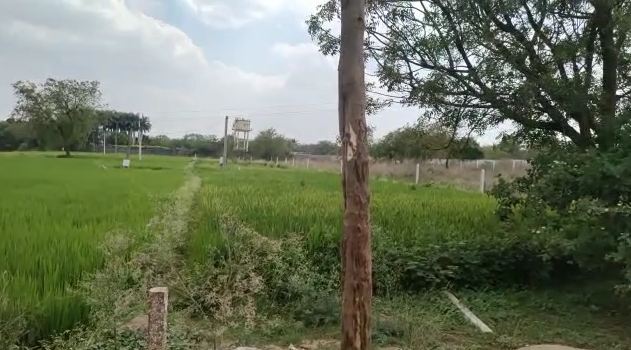 Half  acre agriculture land for sale near velimela