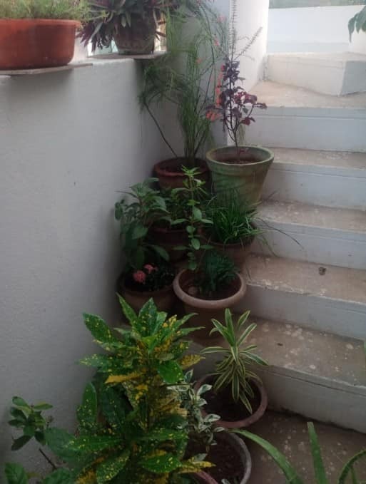 Independent House for sale  in Thirumullaivoyal, Chennai