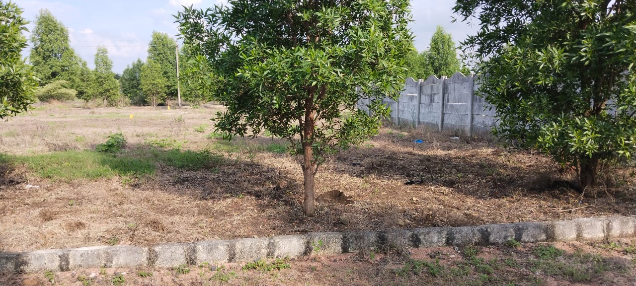 Open Plot for sale near Mumbai Highway, Sadashivapet