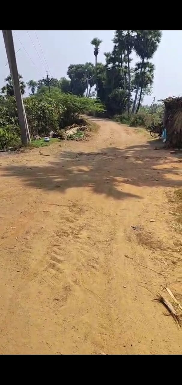 100 acres Agriculture land for sale chinathadivada Bhogapuram