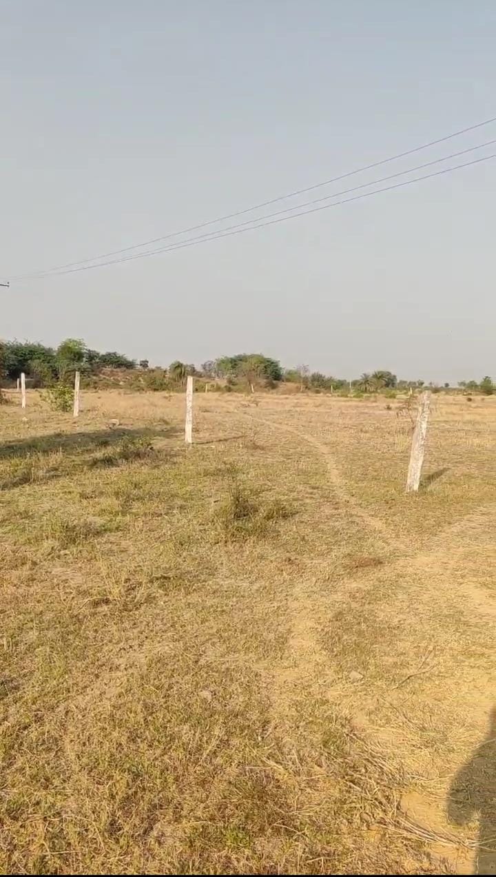 1.31 Acres Agriculture Land For Sale in Ummapur Village Nagar Kurnool District