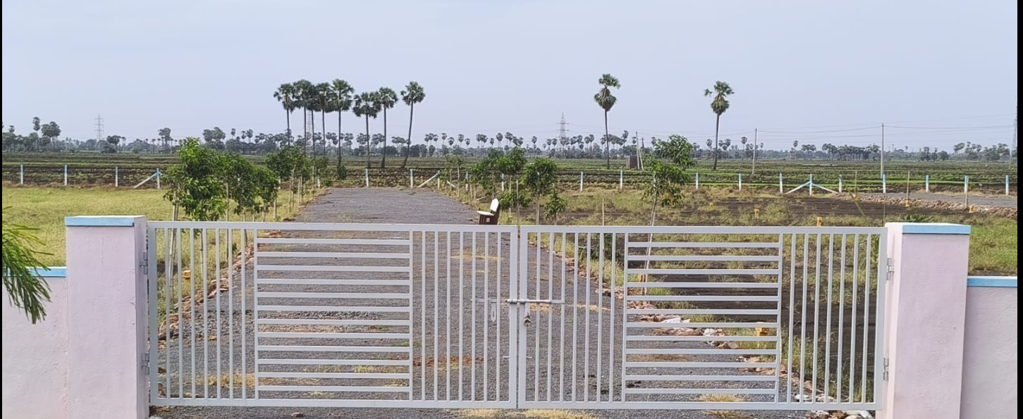 Open Plot For Sale At Pamarru Vijayawada