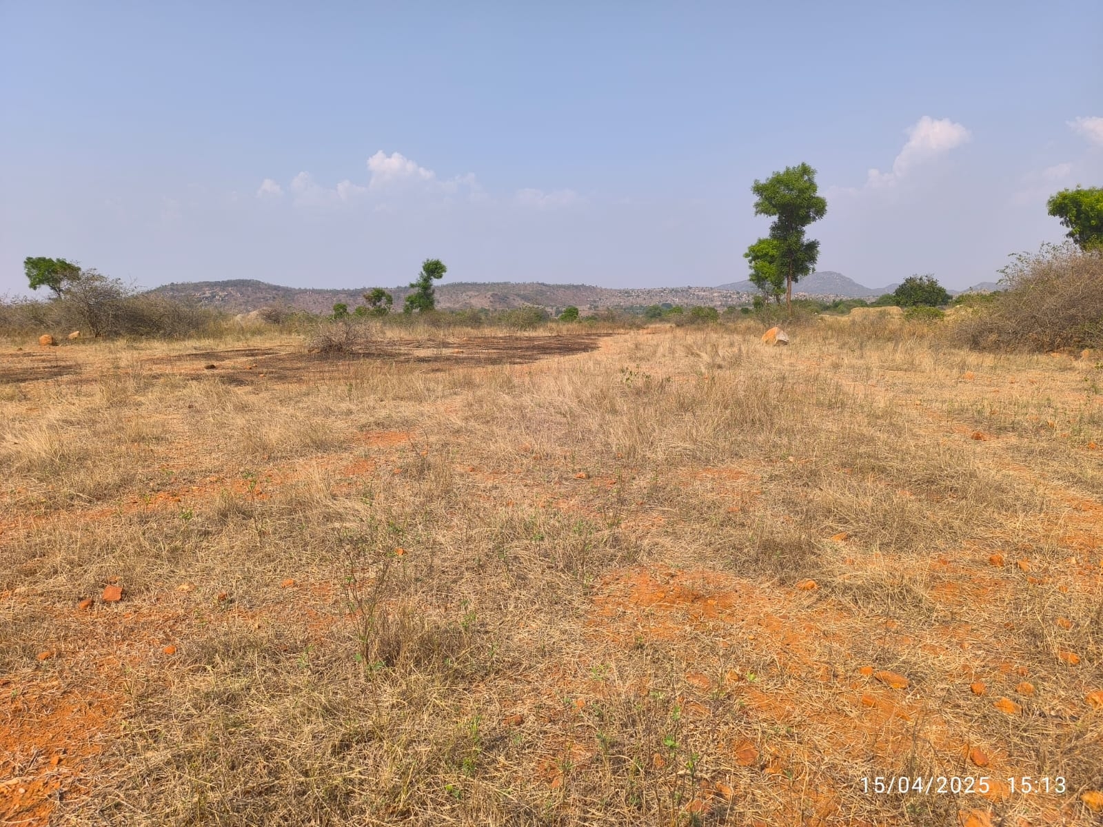 18 acres Red soil land for sale Bagepalli