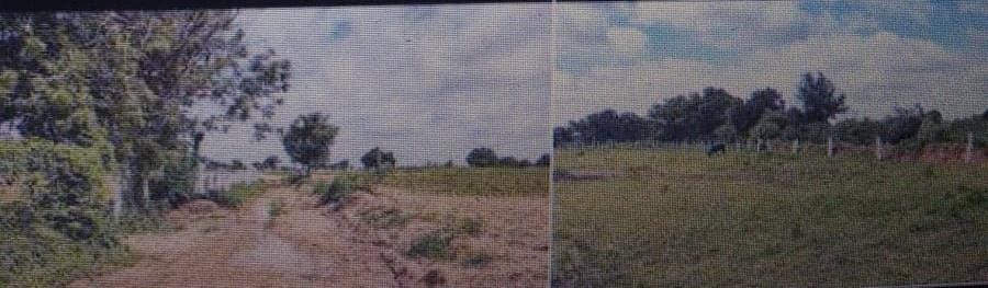 1 Acre 15 guntas Agriculture land for sale in Pamulaparthy Siddipet