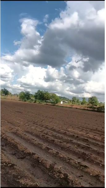 5 acers Belt Road touch and black belt land at Mauja Lohagad tah kalmeshwar dist nagpur