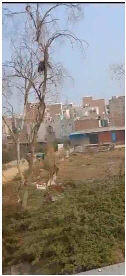 Agricultural Land for Sale Near Bhalaswa, Delhi