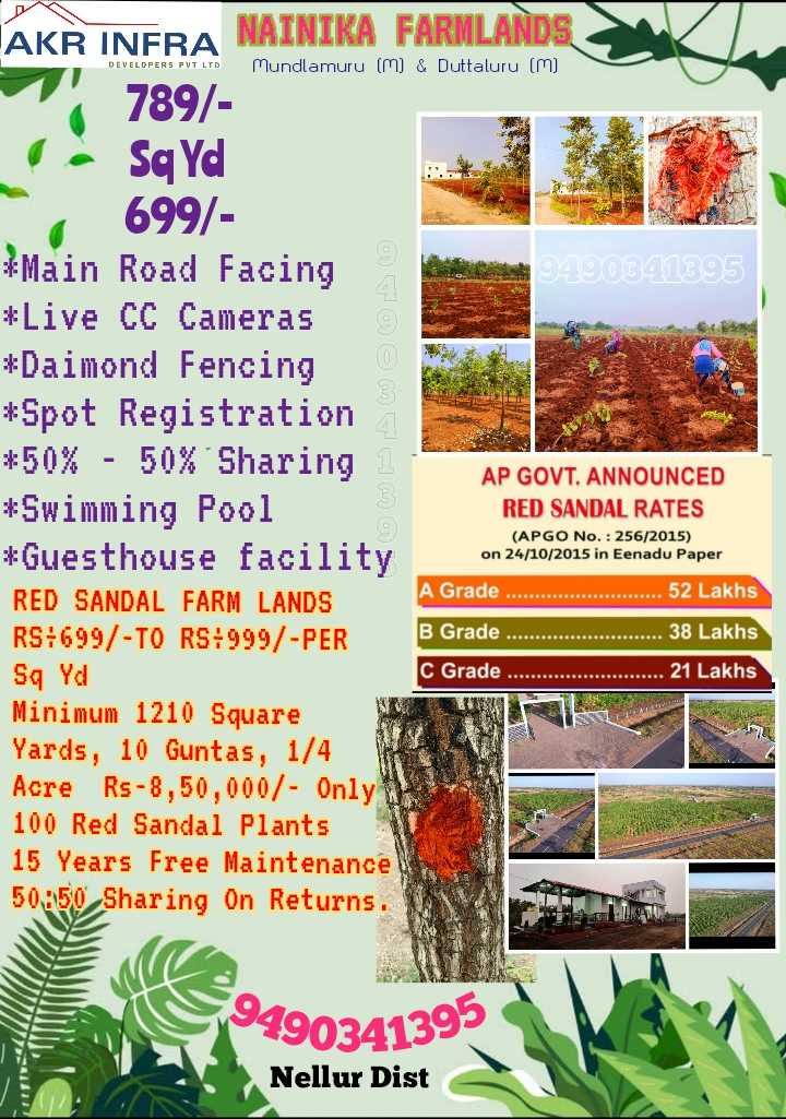 RED SANDAL FARM LANDS  Nellore