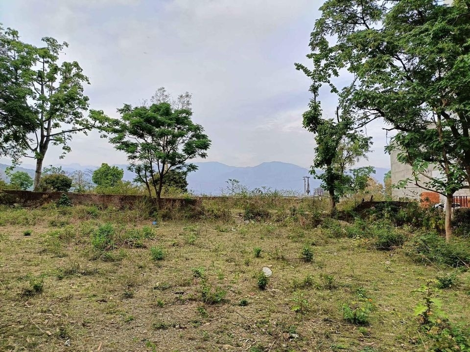 Open Plot for Sale Near IT Park, Dhoran Road, Dehradun