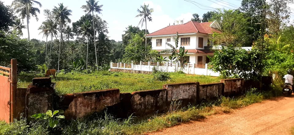 Single Prime House Plot For Sale at Paruthumpara, Chingavanam, Kottayam