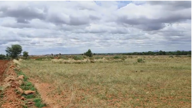 40 acres agriculture land for sale at Maski Raichur