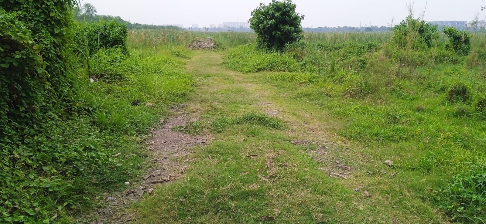 Prime Plots for Sale on D.H. Road (National Highway) – South Kolkata, Near Joka Metro Station