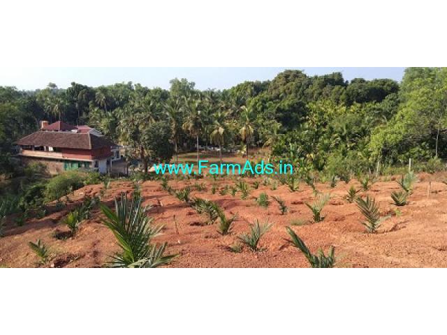 Agri land for Sale Ranja Puttur