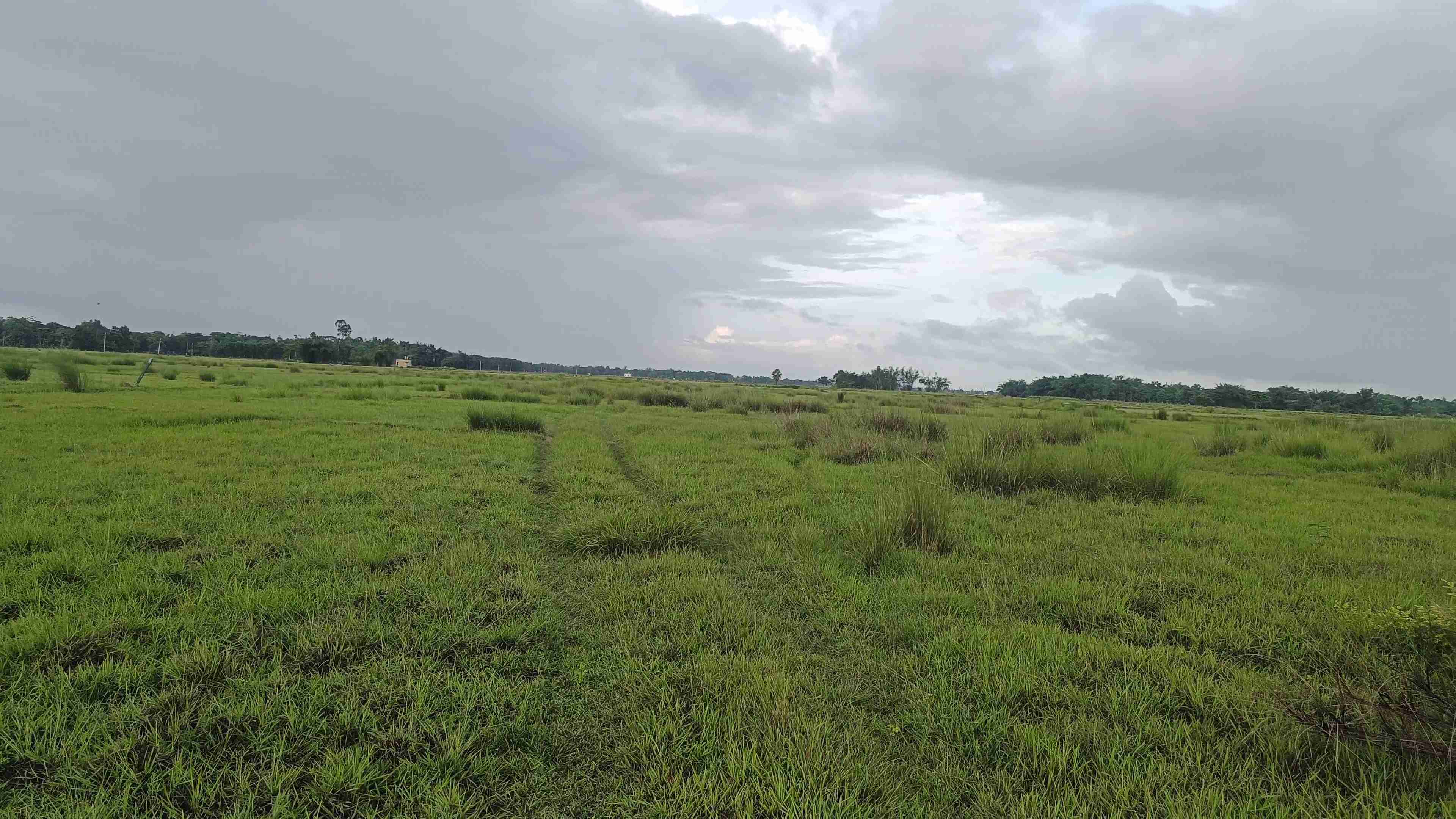 52 Acre Plot  Balasore Highway 