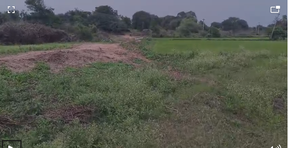 Agriculture  land for Sale in Vittla Karnataka
