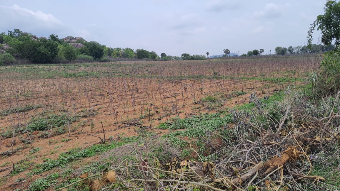 Agricultural land for sale in Chenjarla