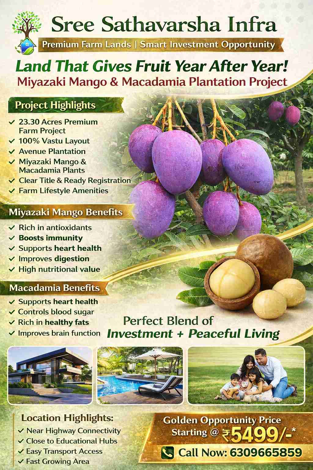 Farm Land Plots For Sale At K. Kotapadu  Anakapalli 