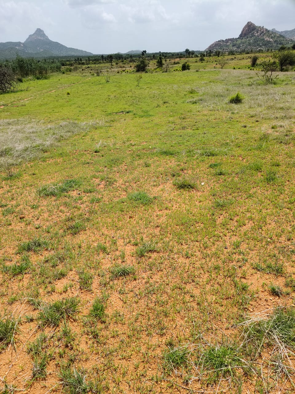 2 Acres agriculture land for sale at Pavagada Nidagal hobli