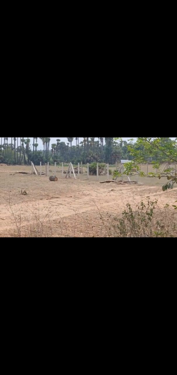 10 Acres land for sale in Chakivalasa Bhogapuram