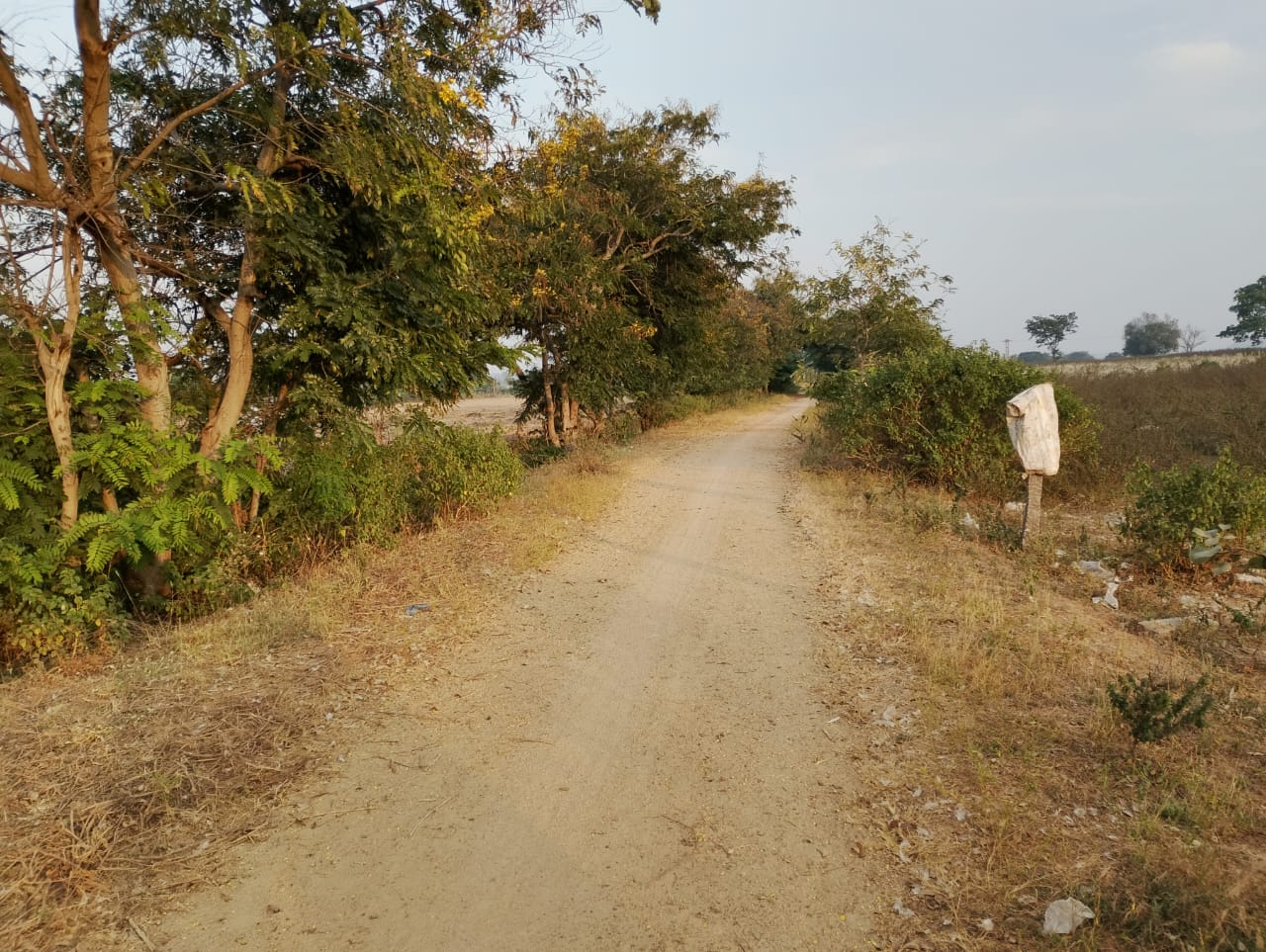 24 Guntas Land For Sale In Gopalpur Mahbubnagar