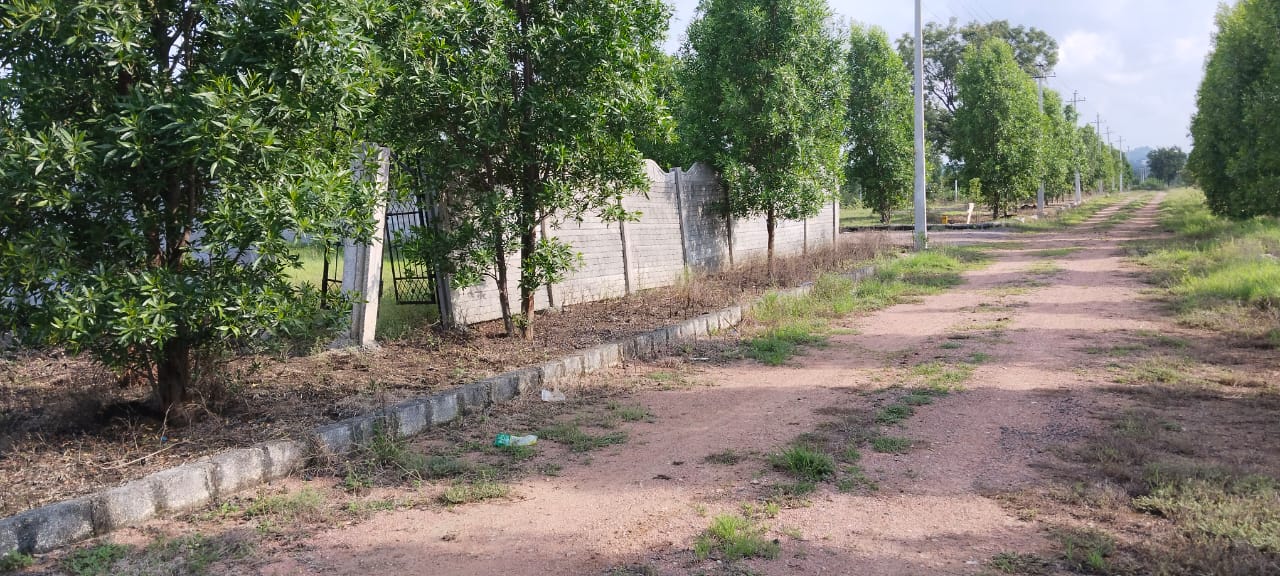 Open plot for sale at sadashivapet