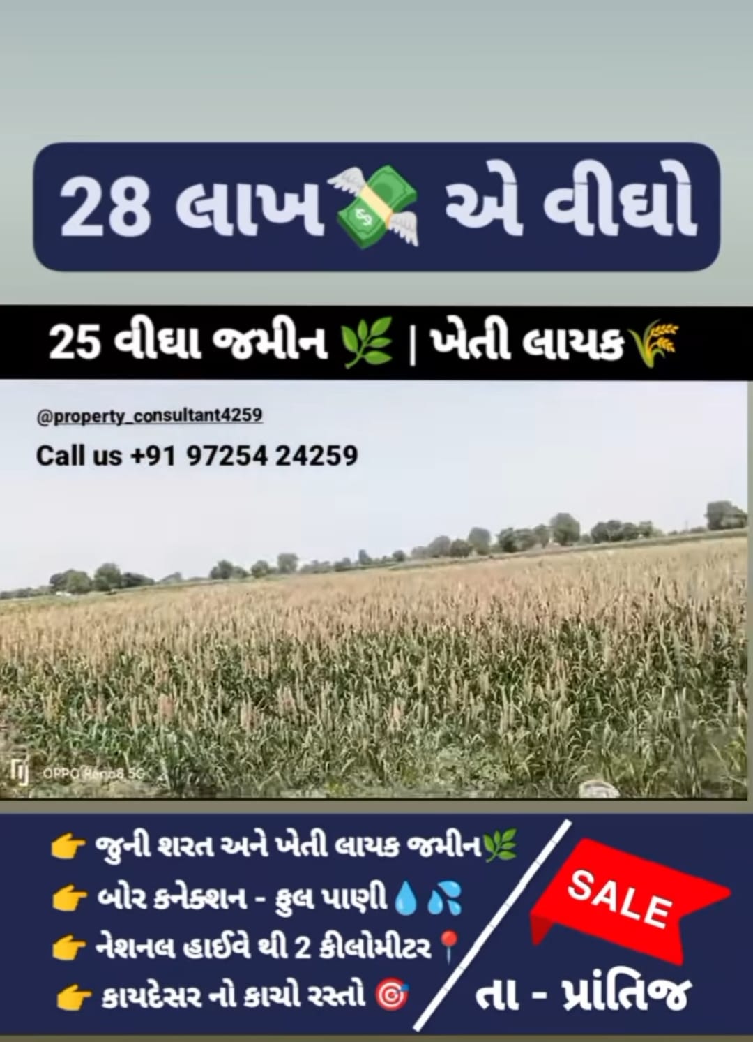  Agriculture Land For Sale at prantij Gujarat