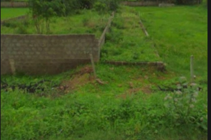 Open land For Sale At Gannavaram