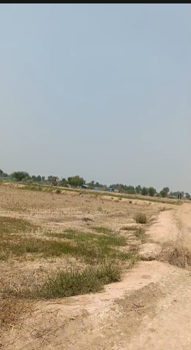 8 Acres Agricultural Land For Sale At Makthal Narayanpet