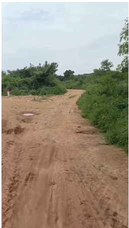 11 acres Red Soil land for sale in Gatlamalyala  Nagunoor