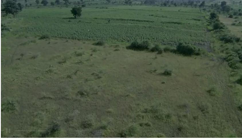 300 acres Agriculture land for sale at Bothali village Taluka Arvi District wardha